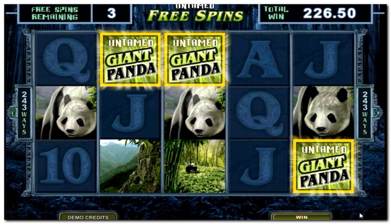 66 Free spins no deposit at Casino Share