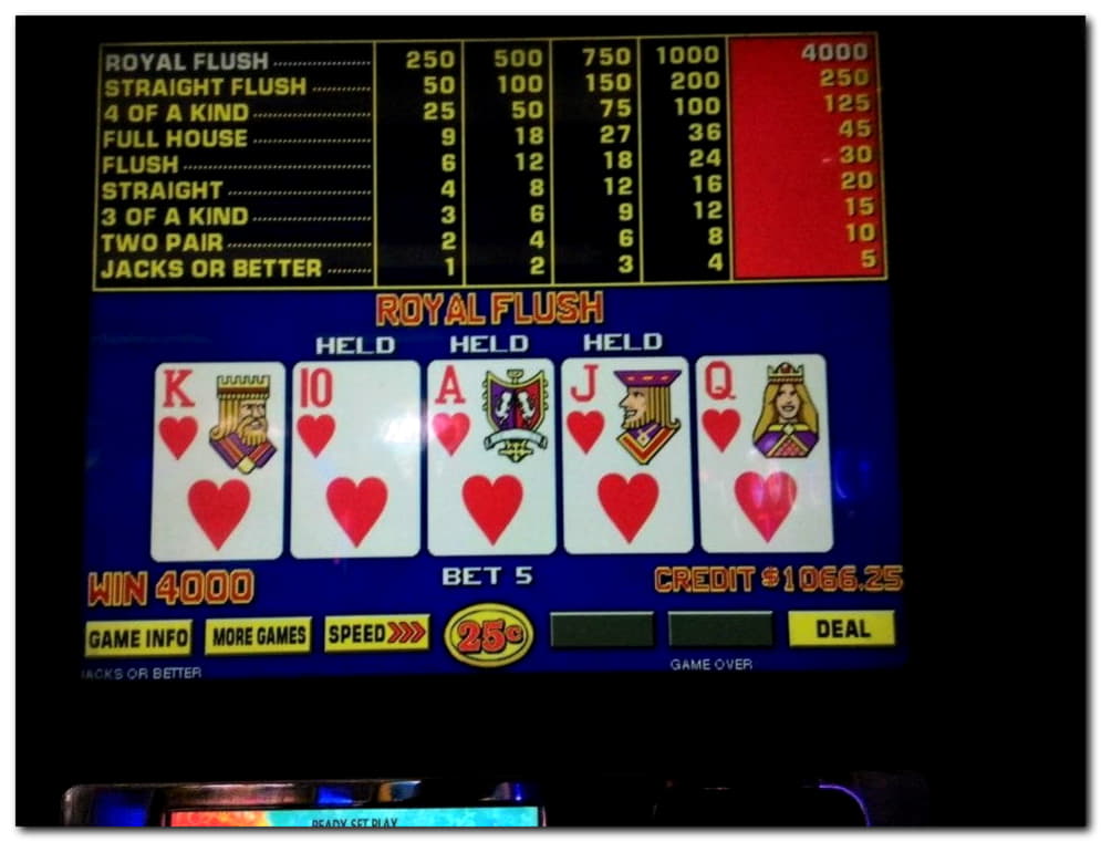 111 free spins casino at Dafa Bet Casino