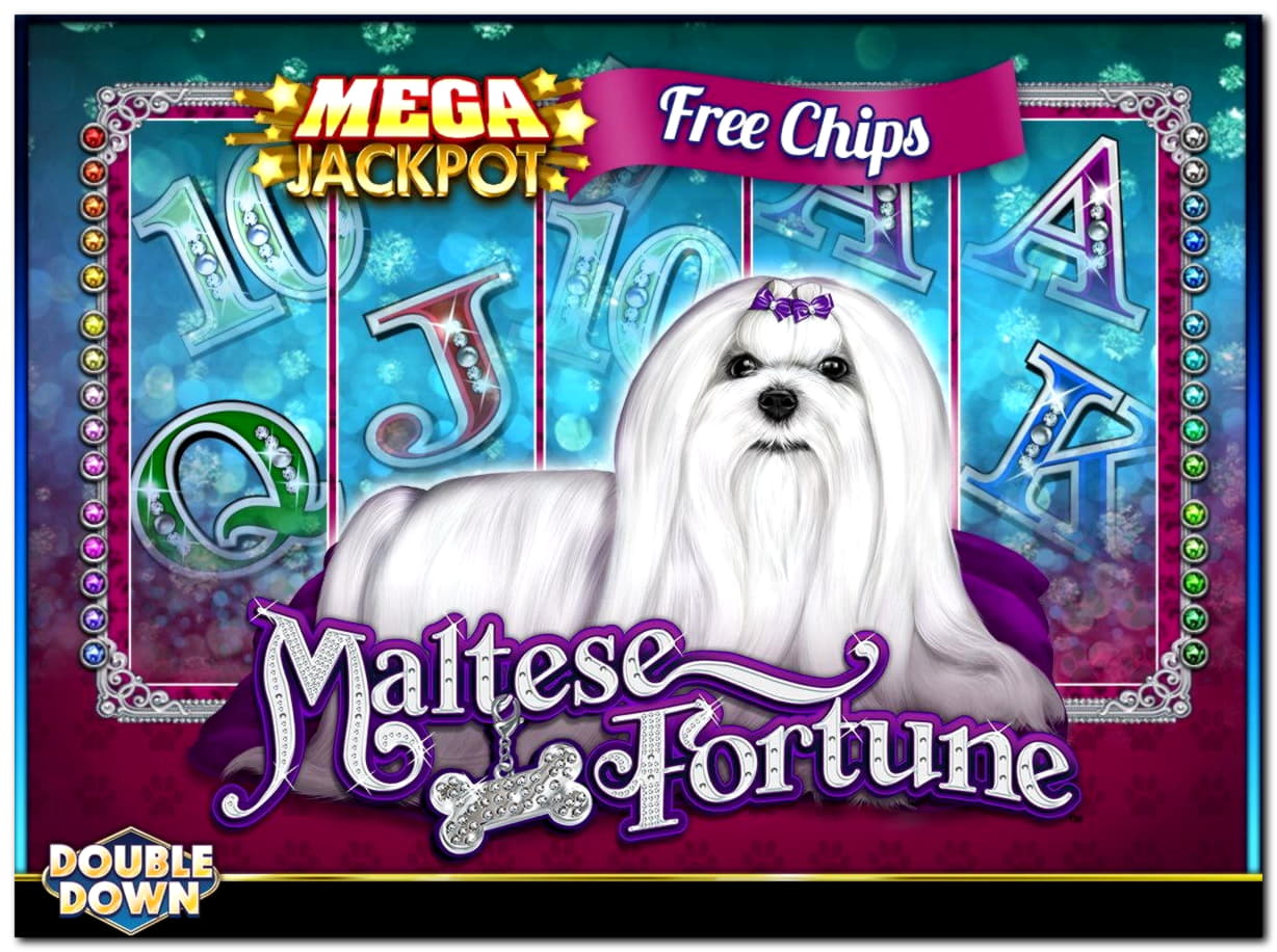€455 Casino chip at Miamidice Casino