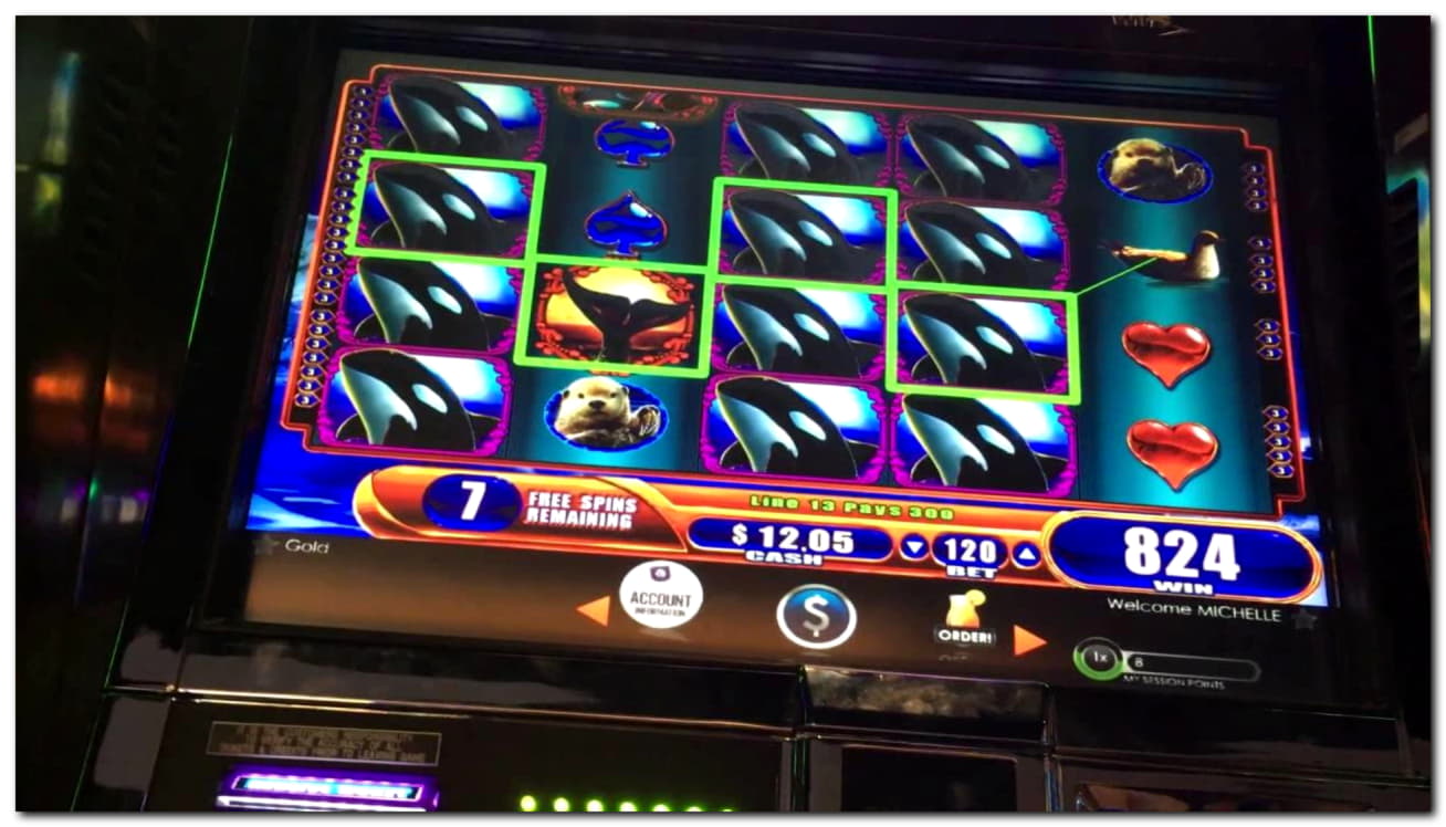 330% casino match bonus at Golden Star Casino