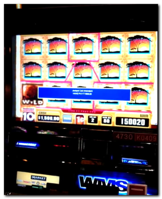 250 Free Spins Casino at Dubai Casino Online