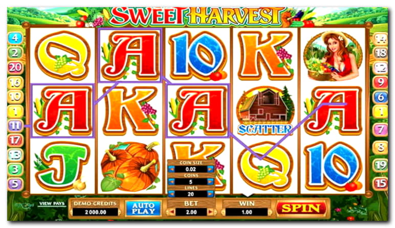 930% Match Bonus Casino at Miamidice Casino
