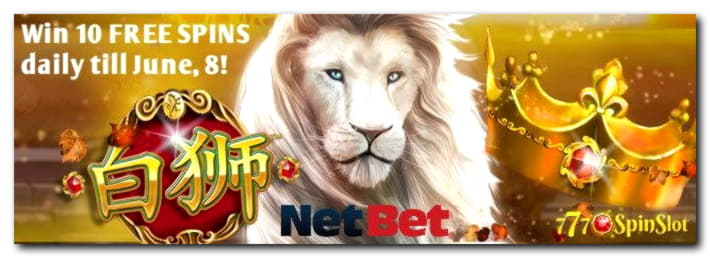 €520 Free Casino Ticket at Miamidice Casino