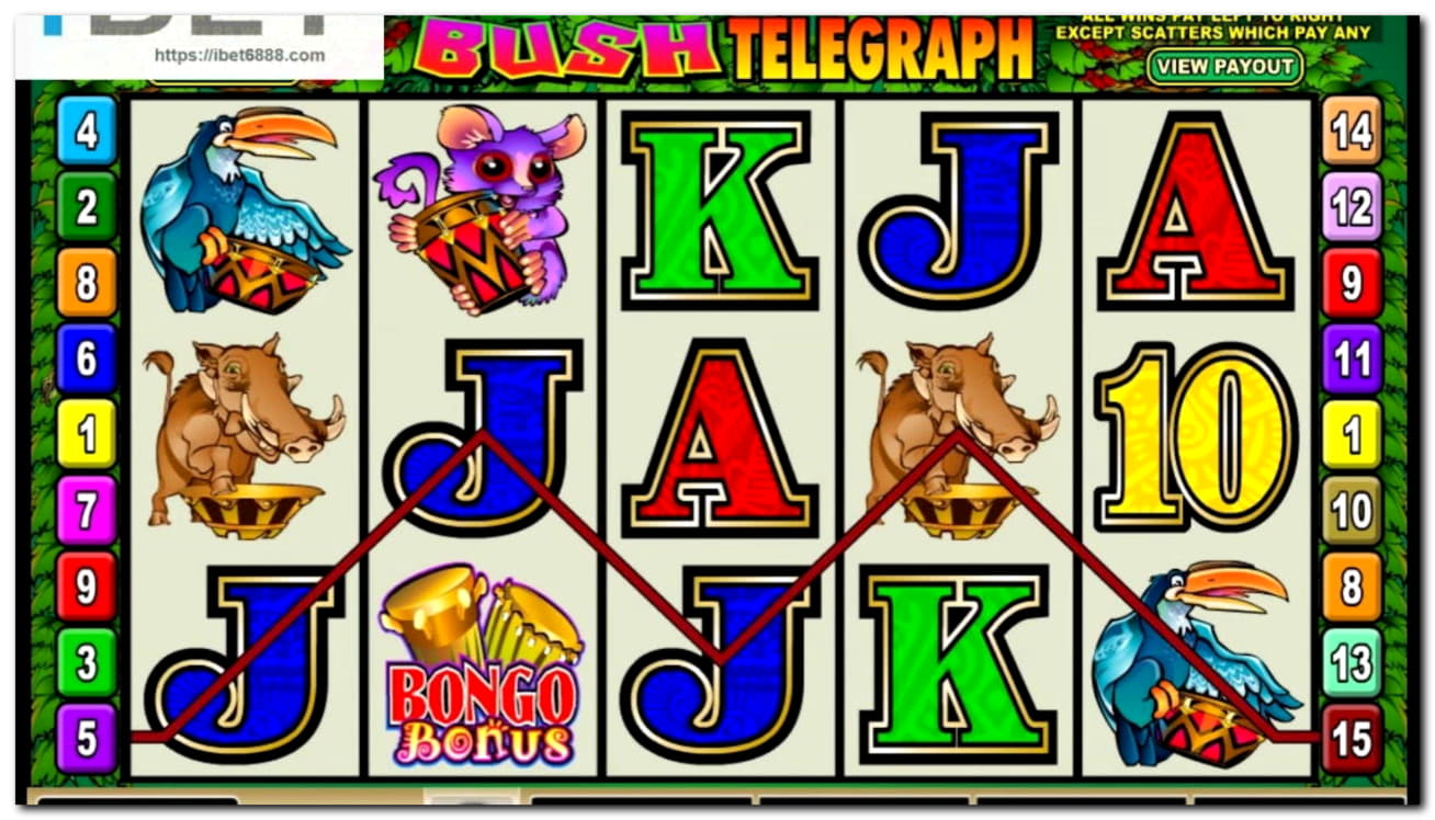 $865 Daily freeroll slot tournament at Casino Share