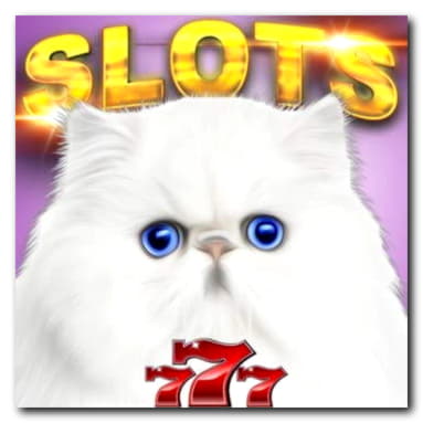 Eur 30 Free Casino Tournament at Casino com