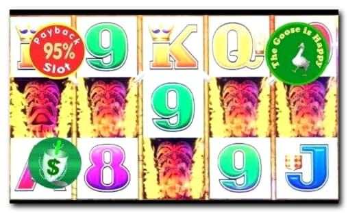 115 free spins no deposit casino at BranGo Casino