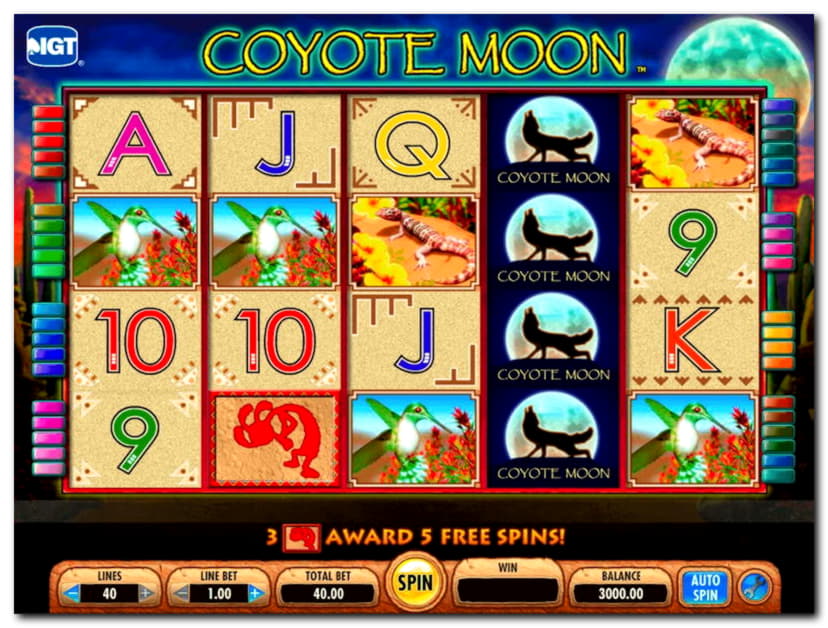 ﻿$222 casino chip at Dafa Bet Casino
