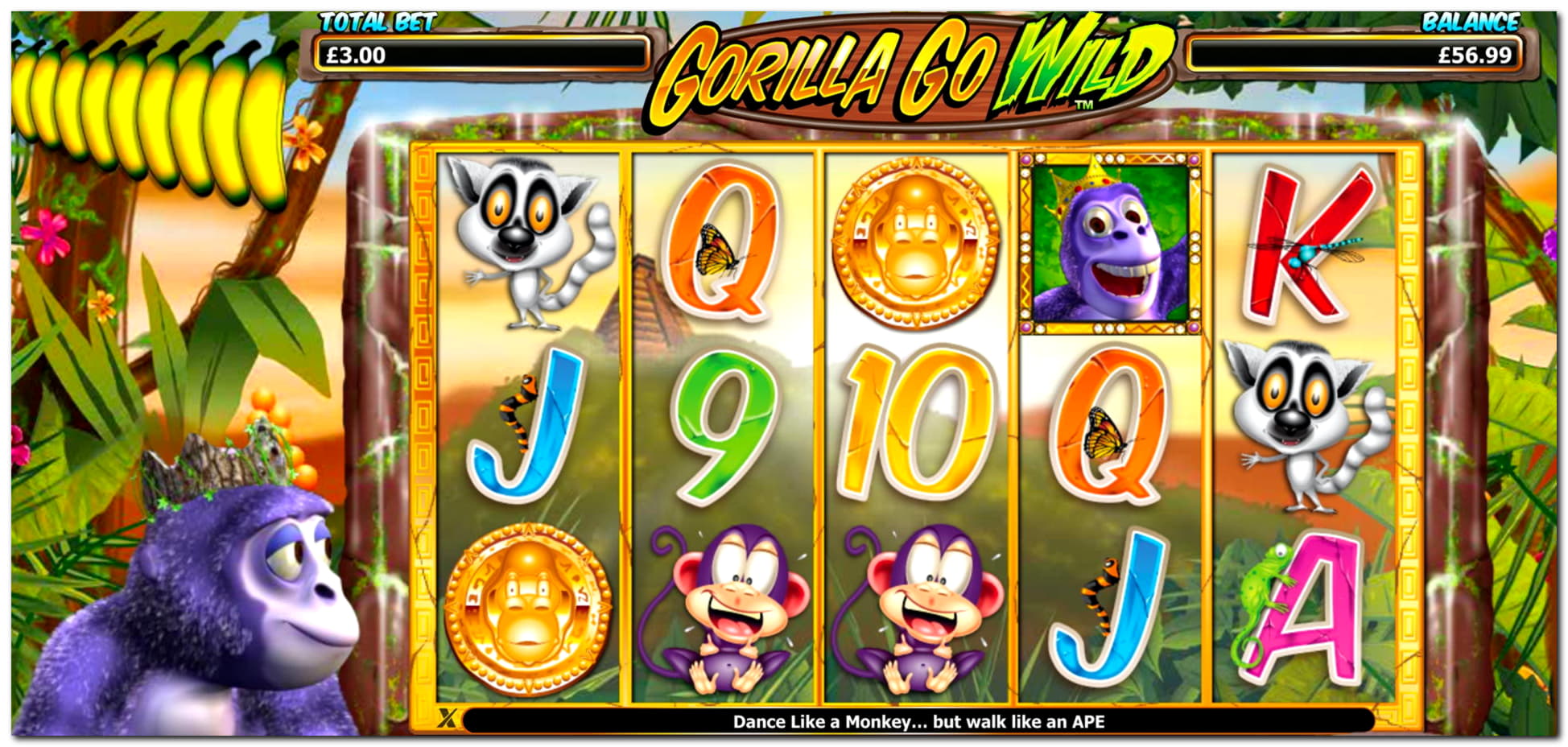 €365 Free Casino Ticket at Genesis Casino