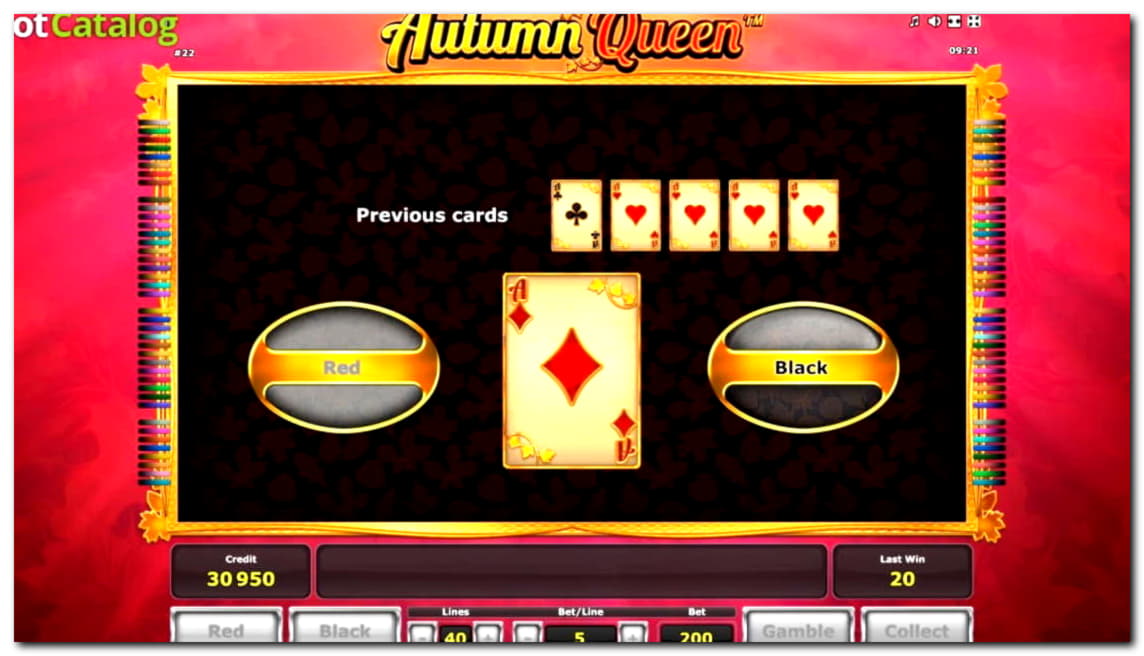 260 Free spins at Dafa Bet Casino