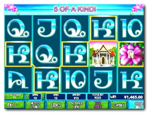 265% First Deposit Bonus at Royal Panda Casino
