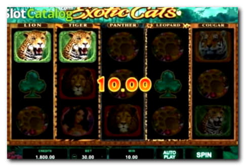 ﻿$4885 NO DEPOSIT CASINO BONUS at Superior Casino