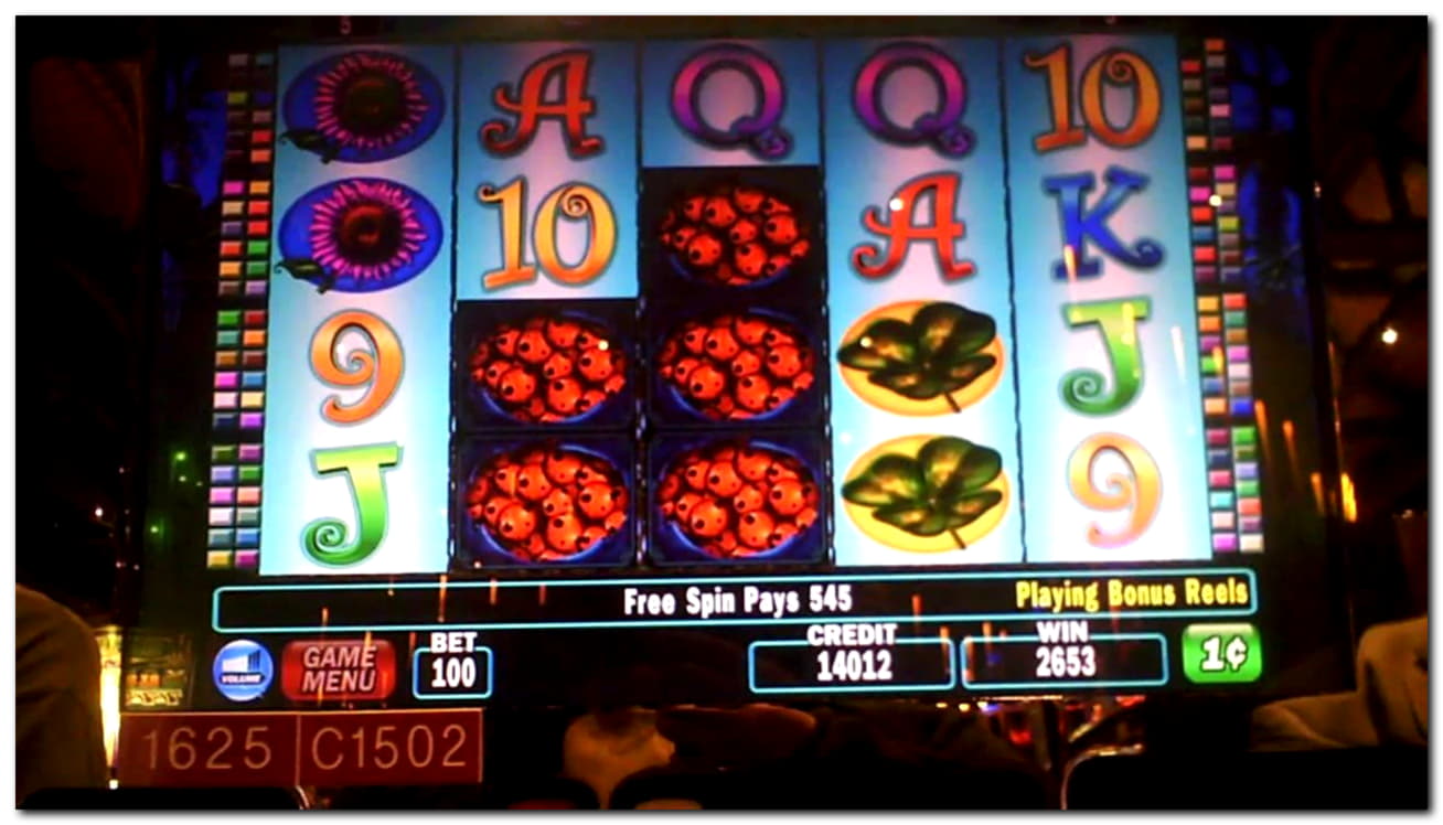 305% Welcome Bonus at Casino Action