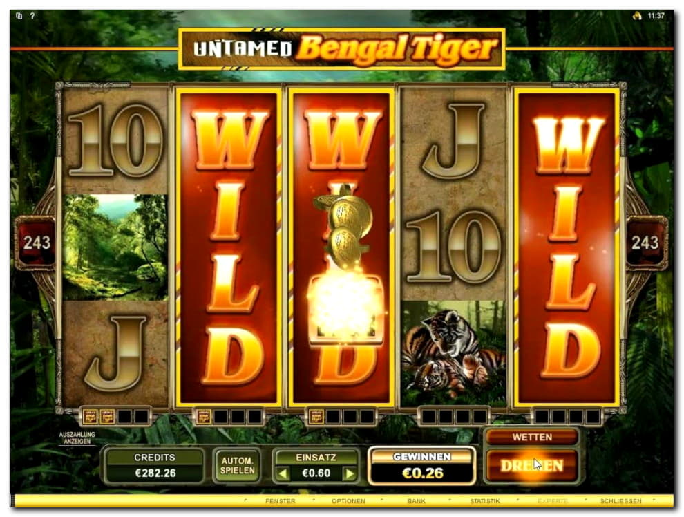 235 free spins casino at BranGo Casino