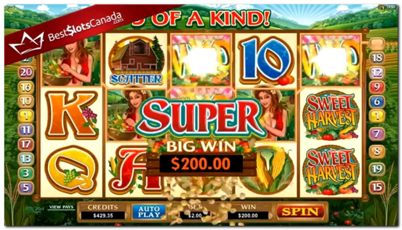 525% No Rules Bonus! at Casino com