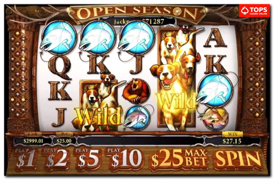 €310 Casino Tournament at BranGo Casino