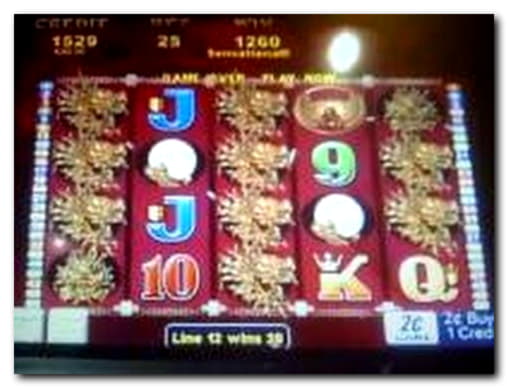 210 Loyalty Free Spins! at Emu Casino