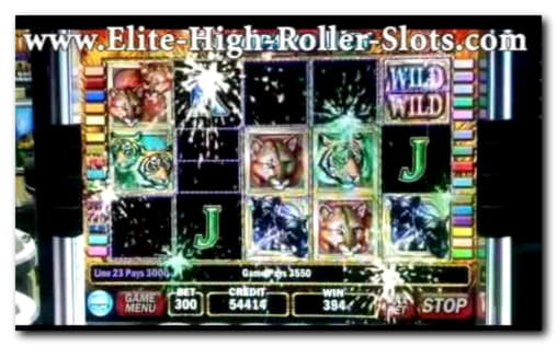$3900 no deposit bonus code at Casino Cruise