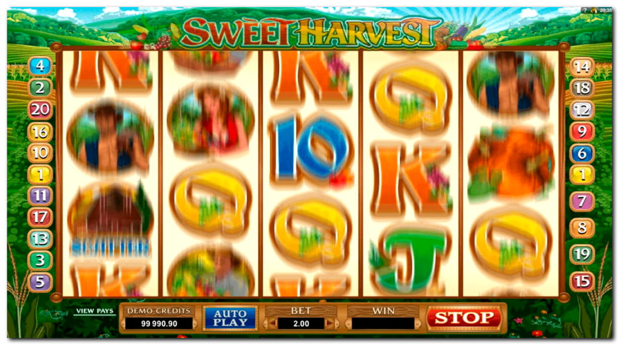 $3390 No Deposit at Mansion Casino