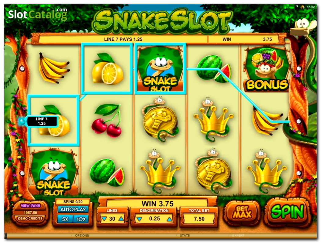 $310 Casino tournaments freeroll at Golden Star Casino