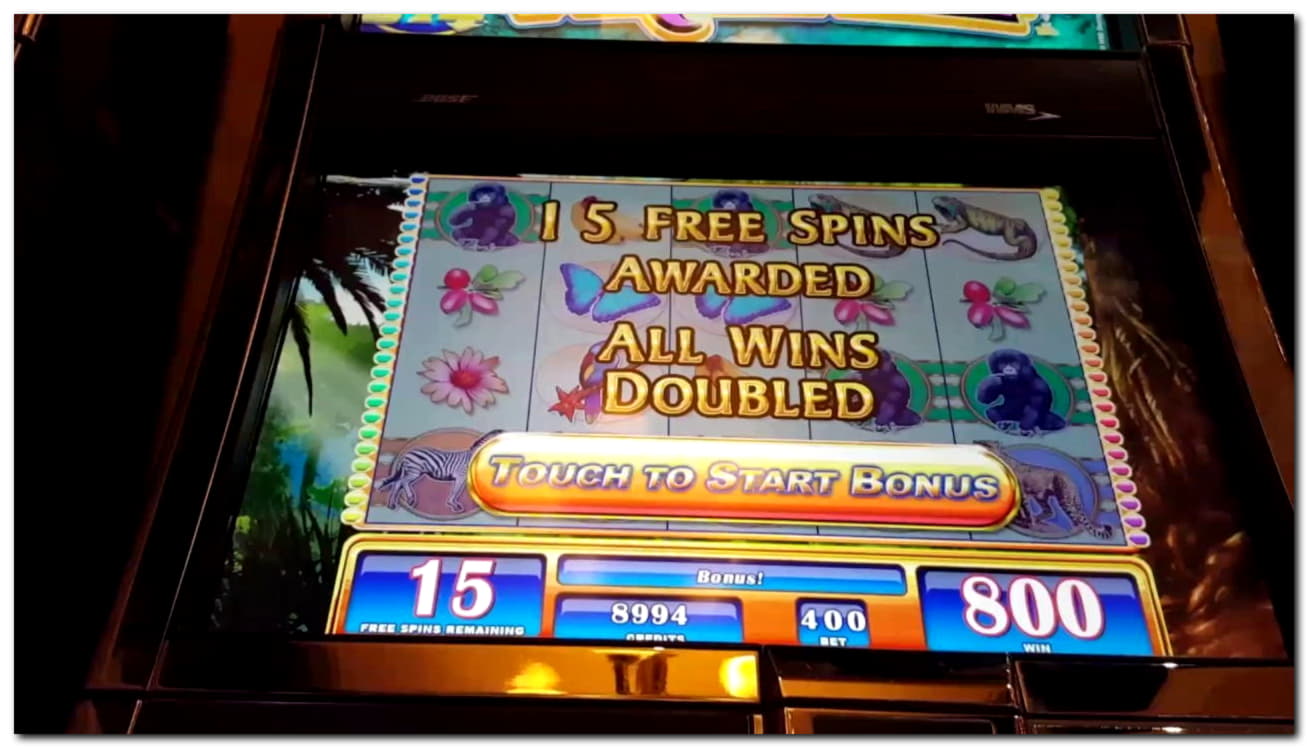 Eur 185 Free chip casino at Dafa Bet Casino