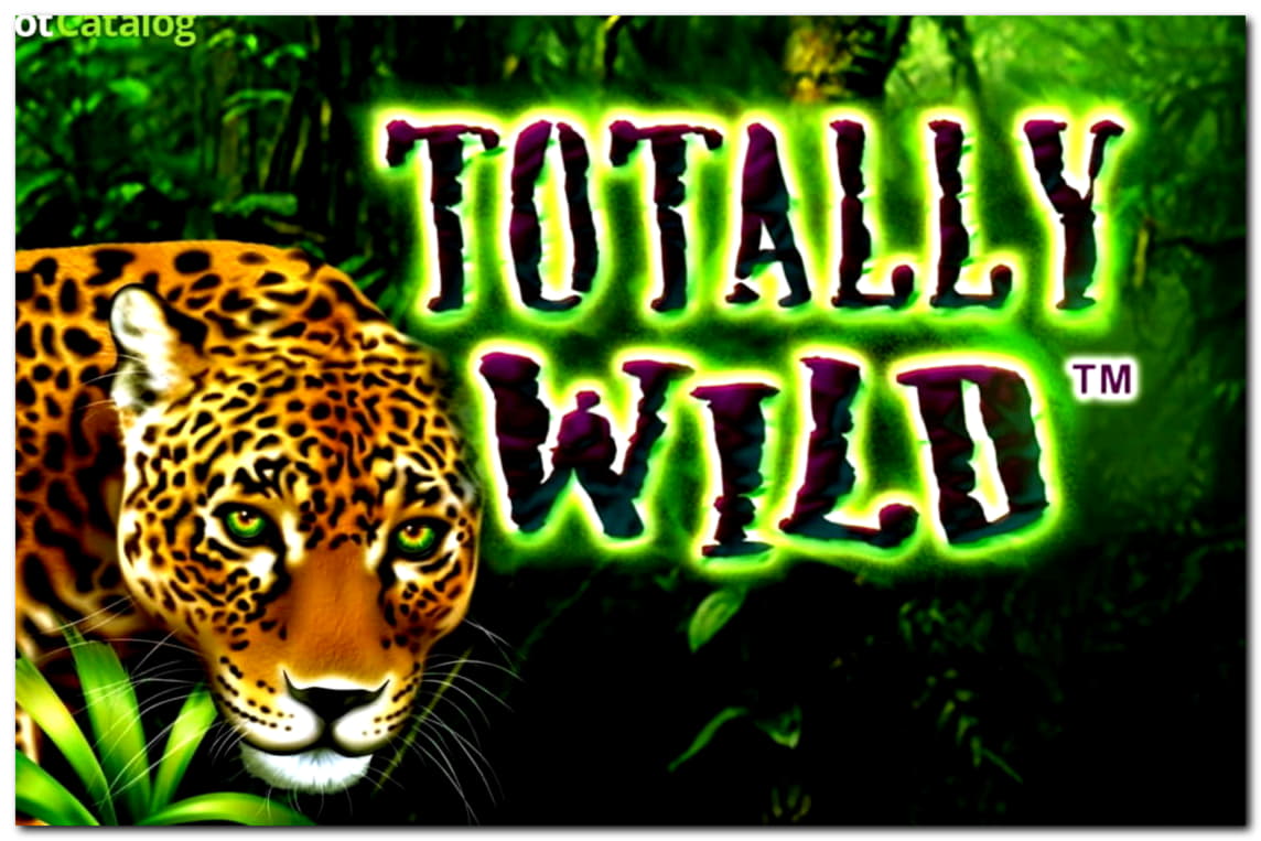 295 free casino spins at Zet Casino
