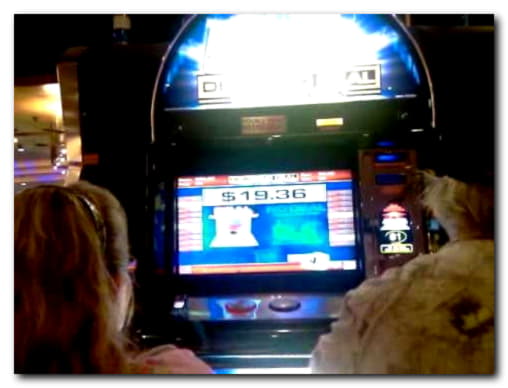 $77 Casino chip at bWin Casino