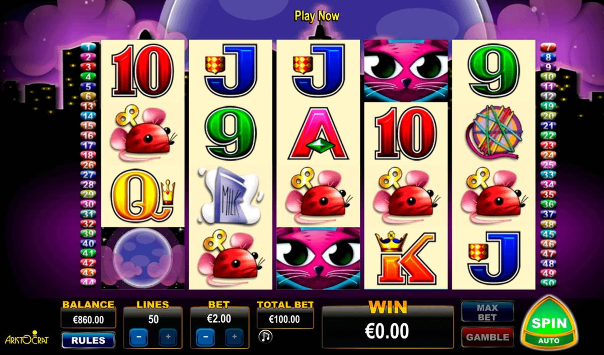 EURO 690 no deposit bonus casino at Casino Cruise