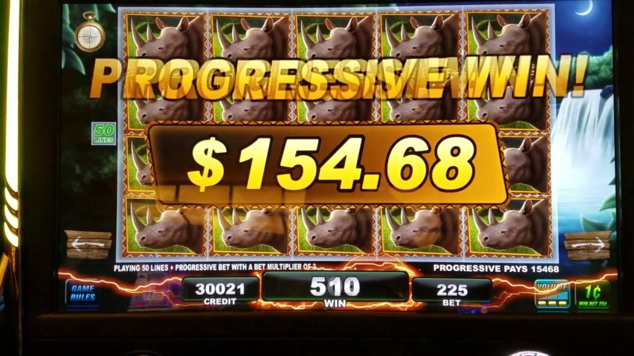 205 Loyal Free Spins! at Dafa Bet Casino