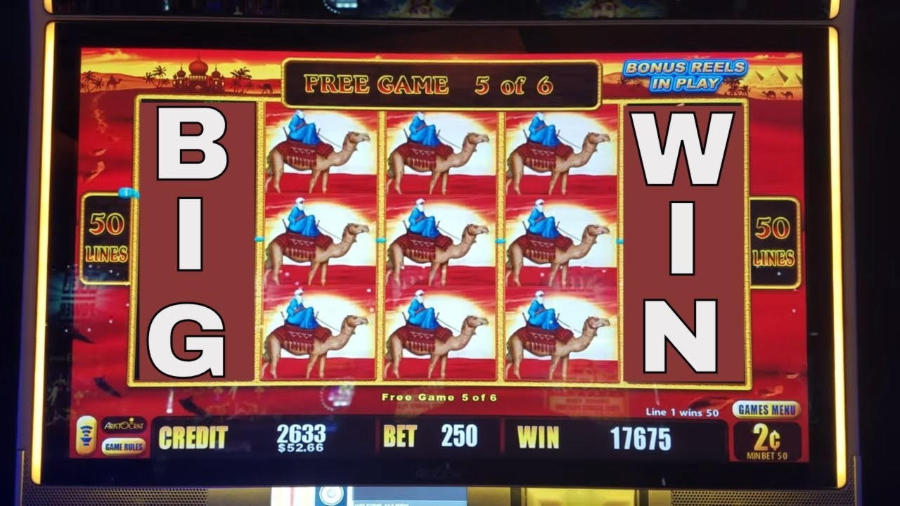 145 free spins no deposit at Dafa Bet Casino