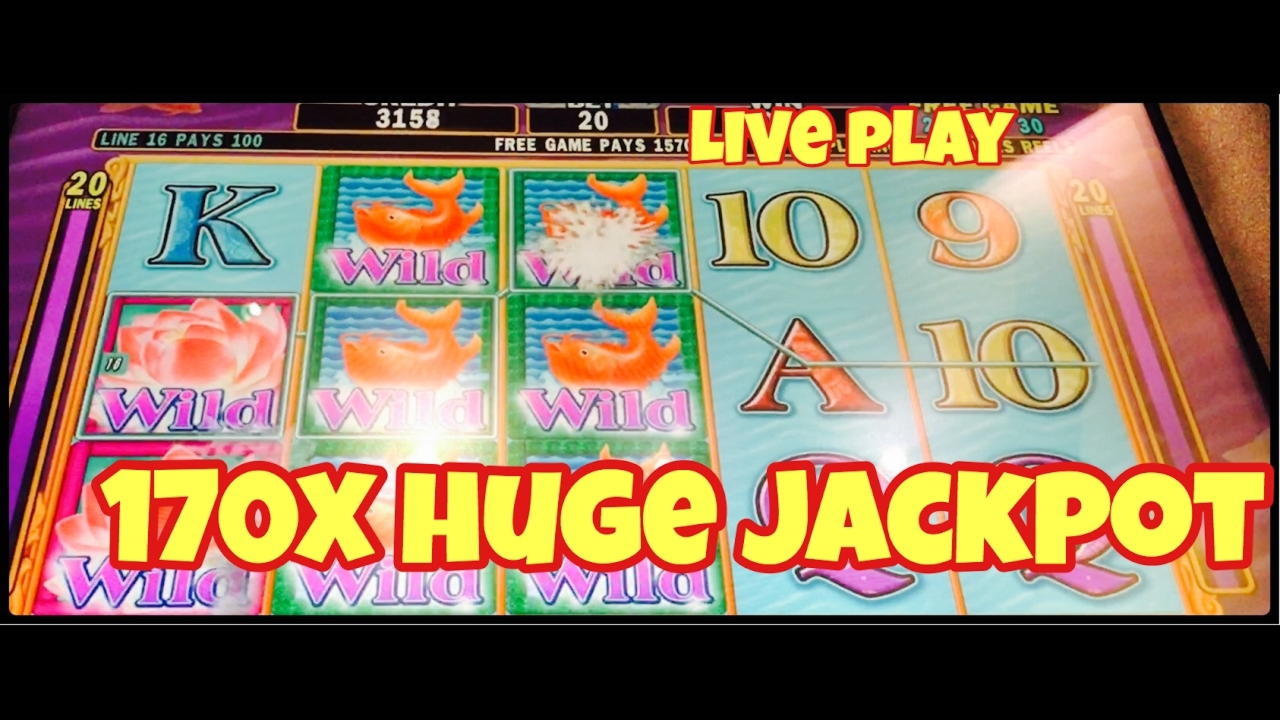 €140 Free Money at Casino com