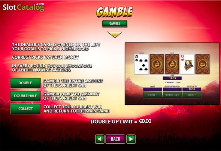 Eur 335 Free Casino Tournament at Dubai Casino Online