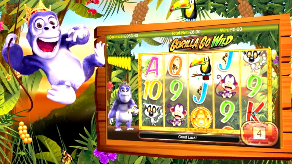 $20 Free Casino Tournament at Casino Cruise