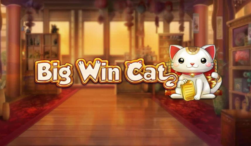 880% No Rules Bonus! at Casino Cruise