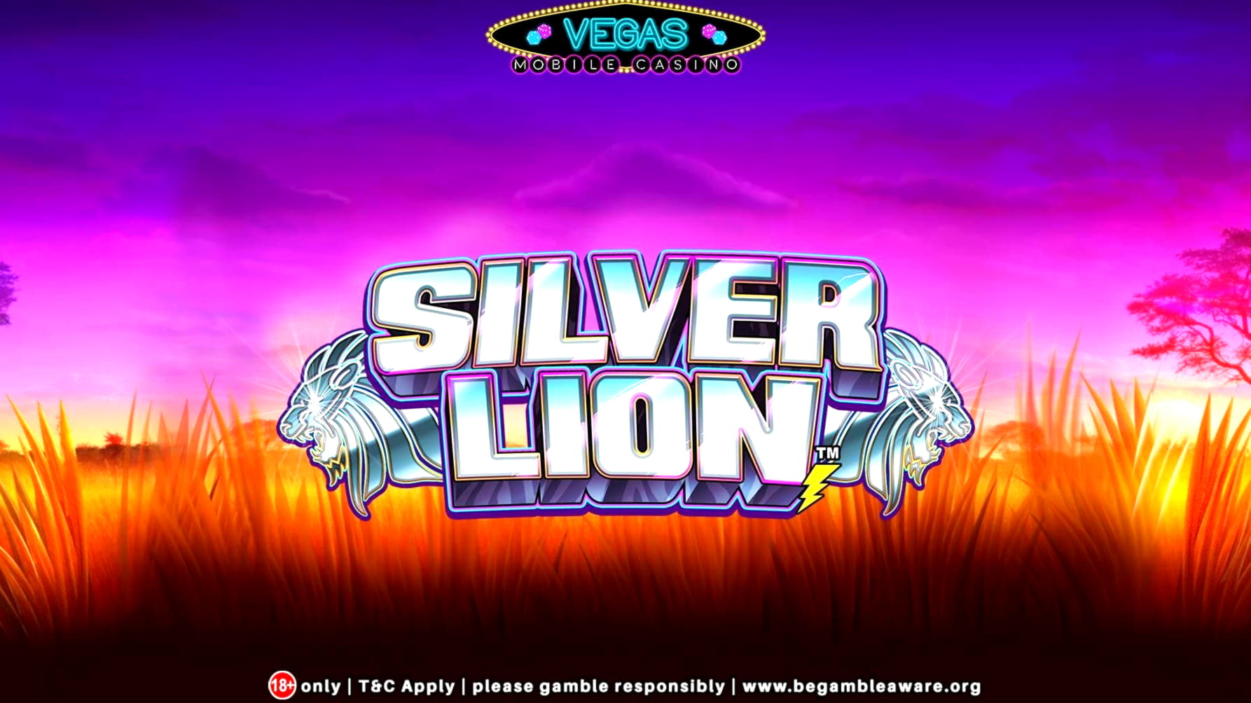 €590 Daily freeroll slot tournament at Casino Share