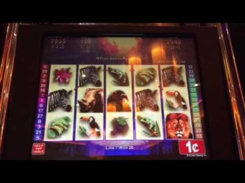﻿$255 FREE CHIP CASINO at No Bonus Casino