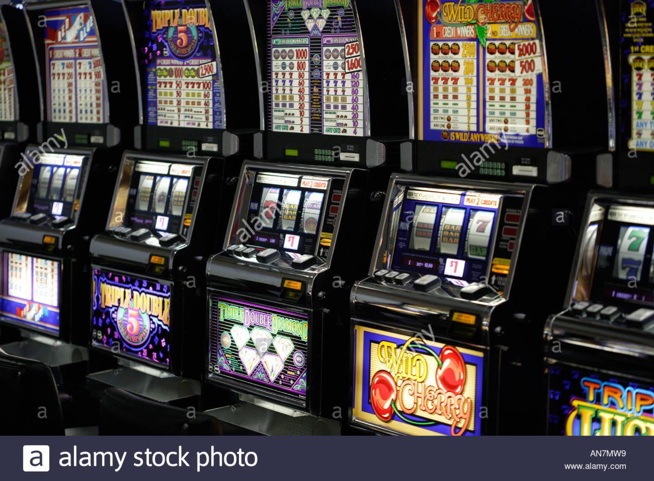 25 free spins casino at Casino Las Vegas