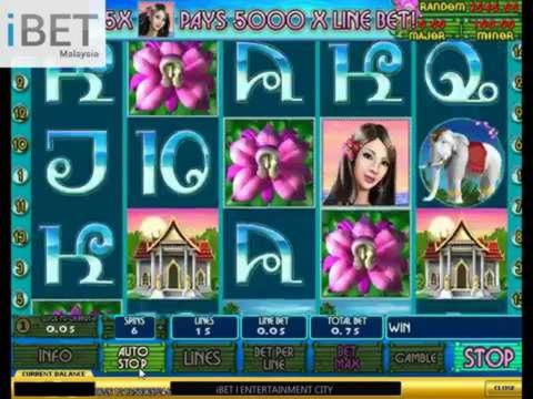 EURO 2570 No deposit at Dafa Bet Casino