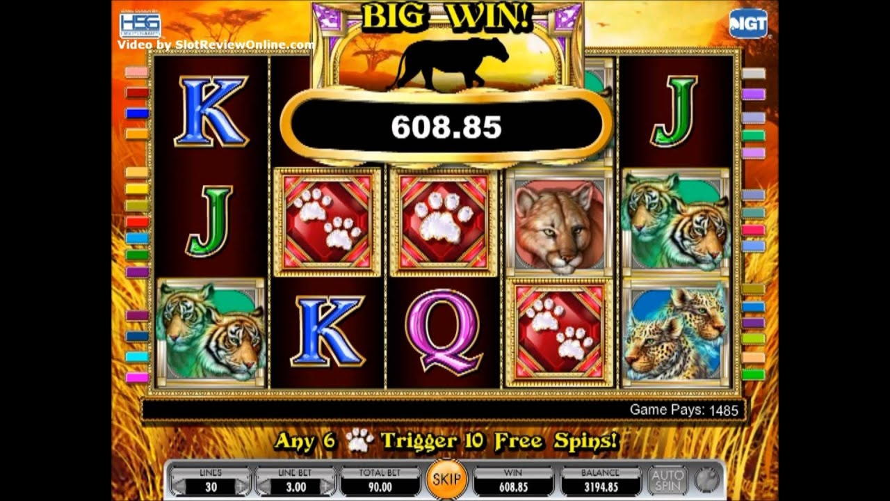 785% Welcome Bonus at Casino Action