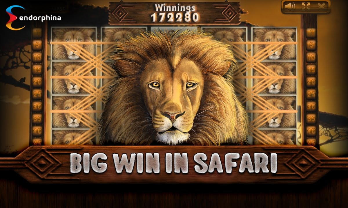 ﻿$615 Daily freeroll slot tournament at Casino Share