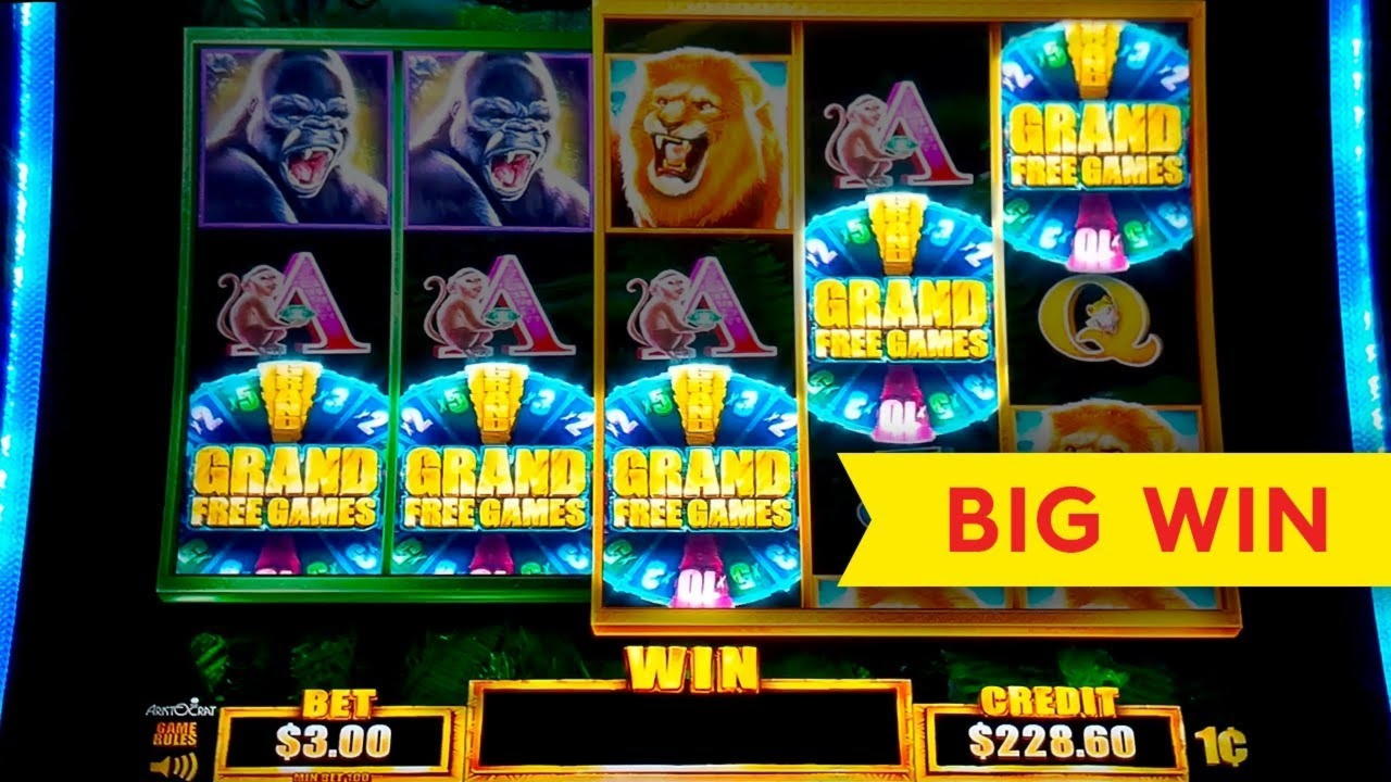 490% Match Bonus Casino at Red Stag Casino