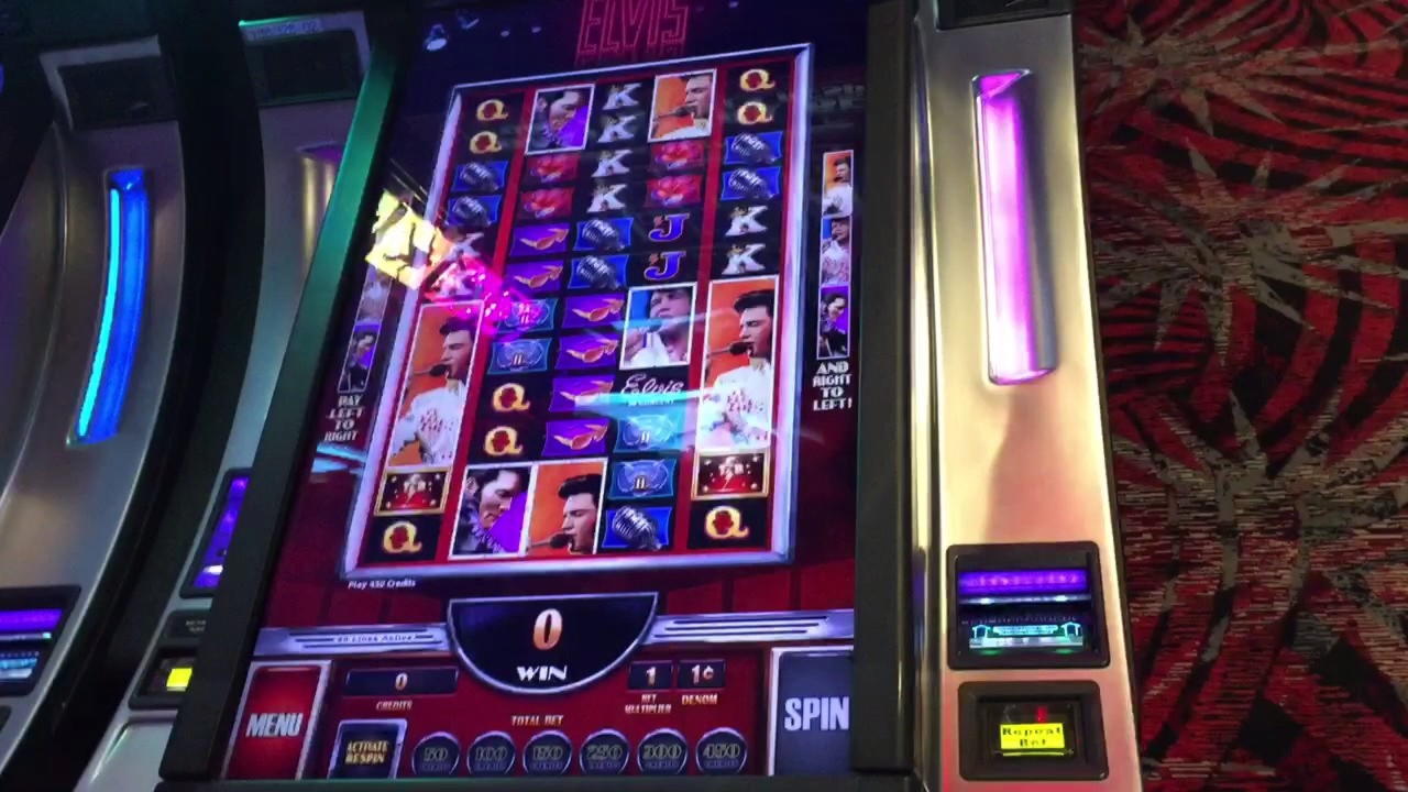 530% Match at a Casino at Dafa Bet Casino