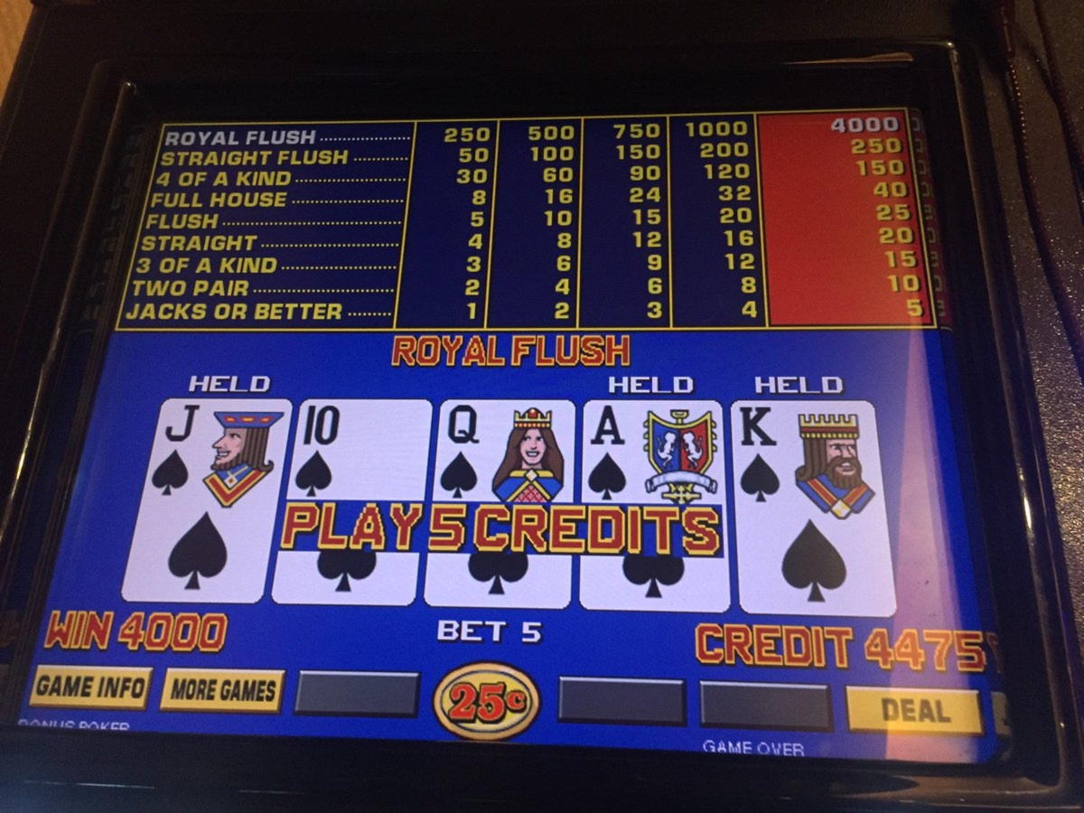 €455 Daily freeroll slot tournament at Zet Casino