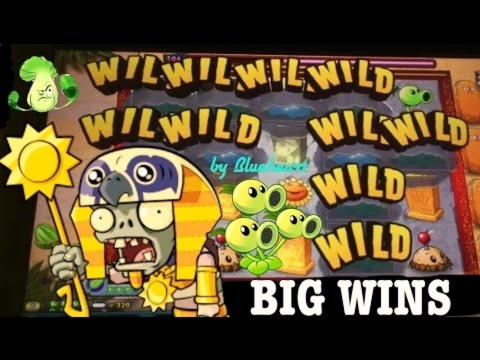 €4855 no deposit at BranGo Casino