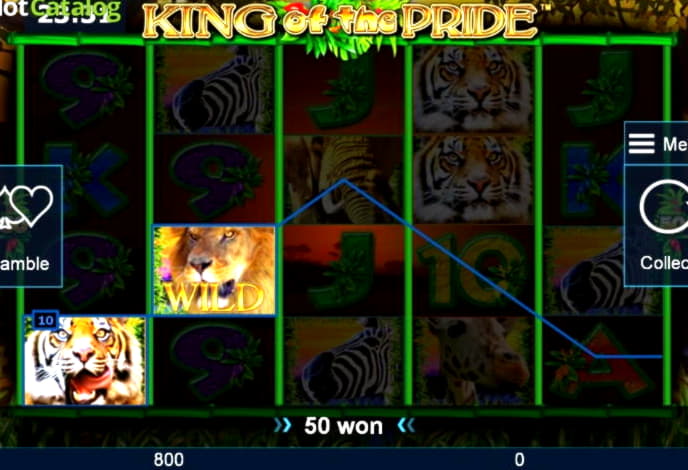 930% Match bonus at Golden Star Casino