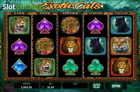 470% Match at a casino at Challenge Casino