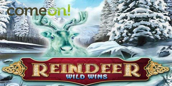 $915 Casino tournaments freeroll at Villento Casino