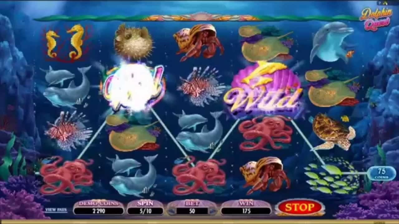 455% First deposit bonus at Dubai Casino Online