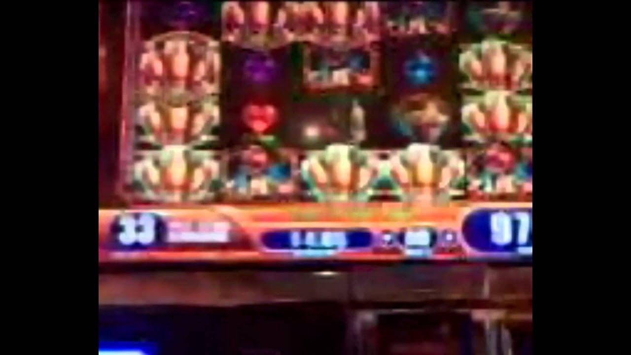 250 FREE Spins at Miamidice Casino
