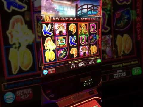 EUR 4455 no deposit bonus code at No Bonus Casino