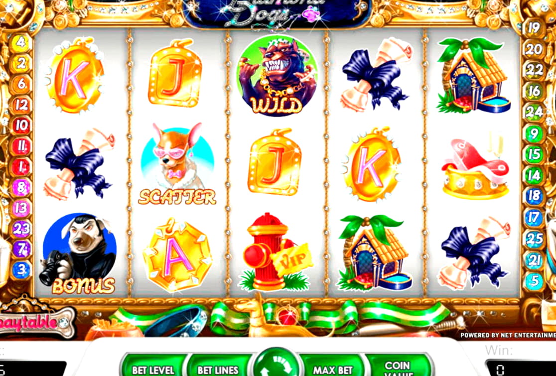€690 free chip at Casino Action